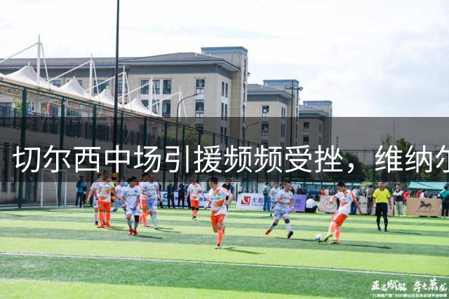 切尔西中场引援频频受挫，维纳尔杜姆能否救急？